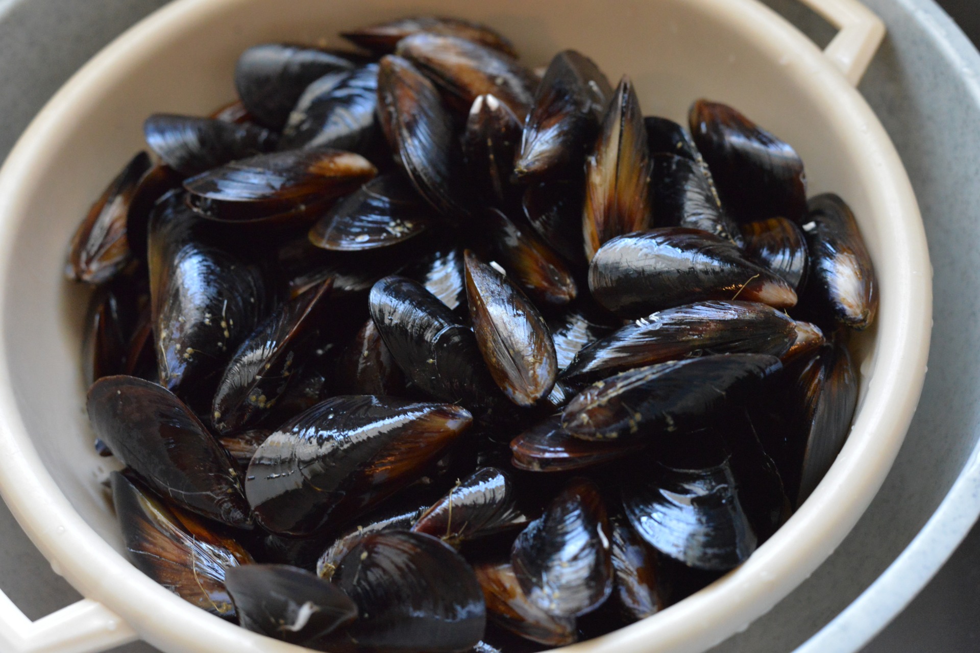 Moules de Bouchot
