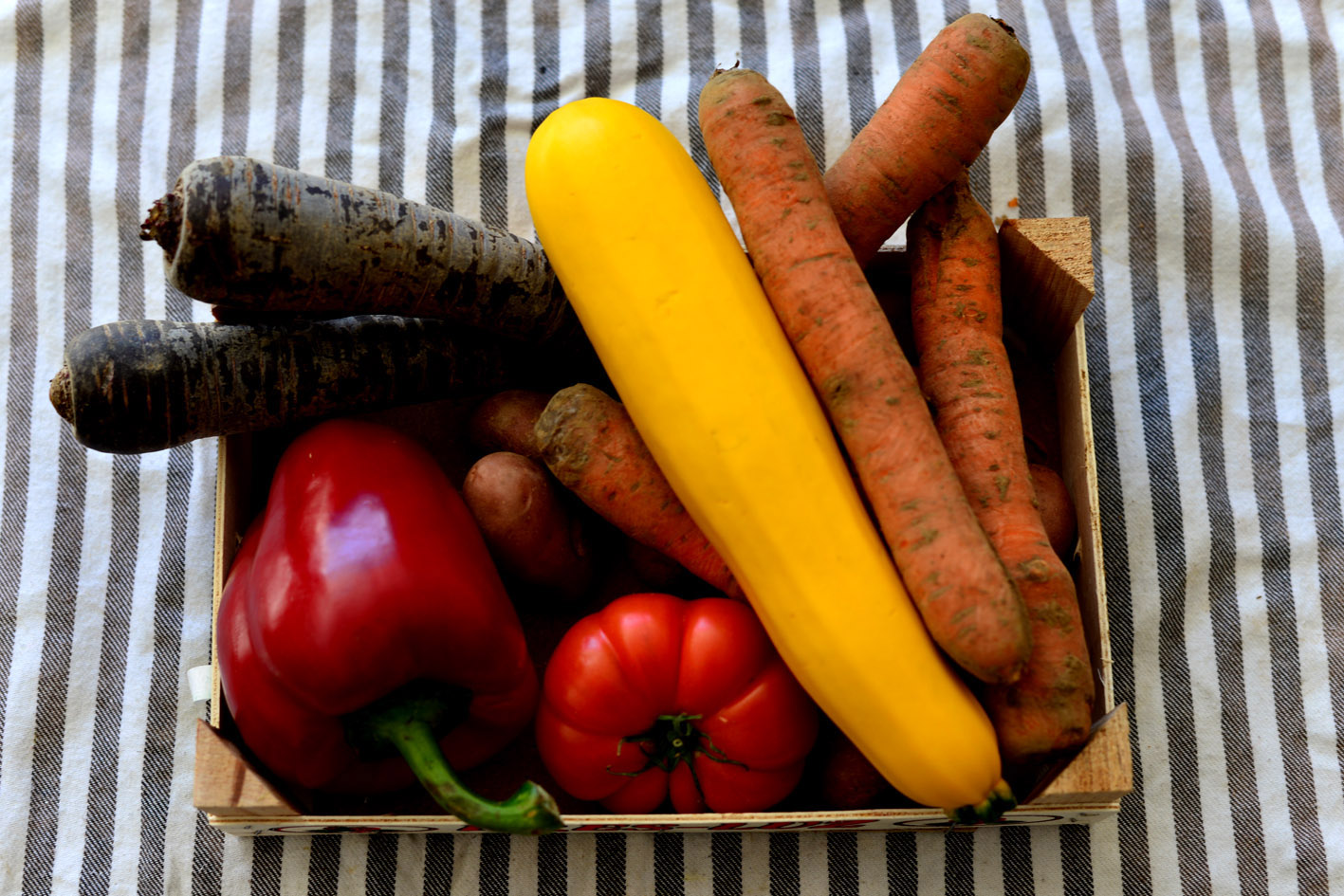 Légumes Bio